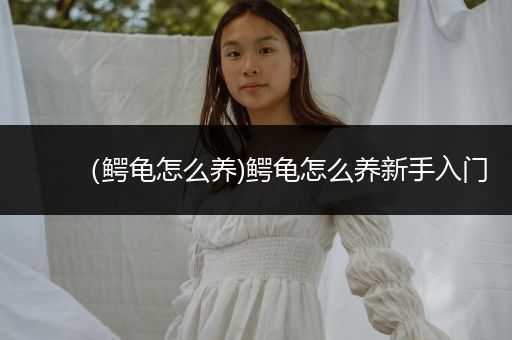 （鱷龜怎么養(yǎng))鱷龜怎么養(yǎng)新手入門