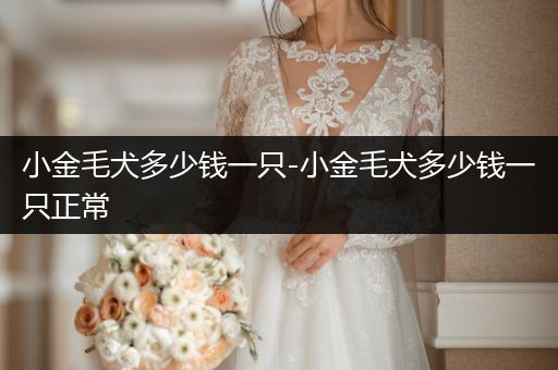 小金毛犬多少錢一只-小金毛犬多少錢一只正常