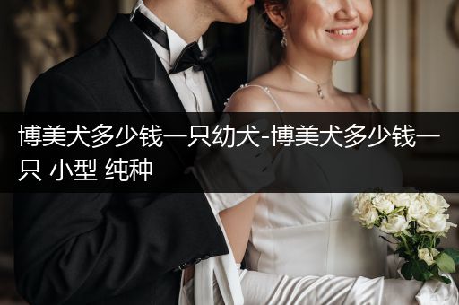 博美犬多少錢一只幼犬-博美犬多少錢一只 小型 純種