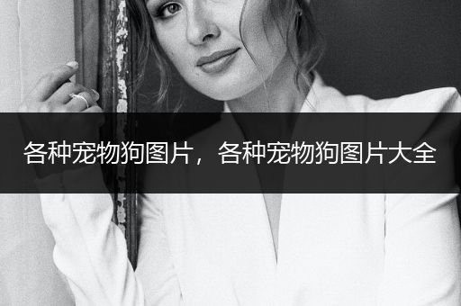 各種寵物狗圖片，各種寵物狗圖片大全