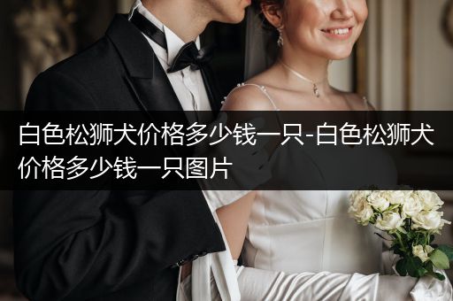 白色松獅犬價格多少錢一只-白色松獅犬價格多少錢一只圖片