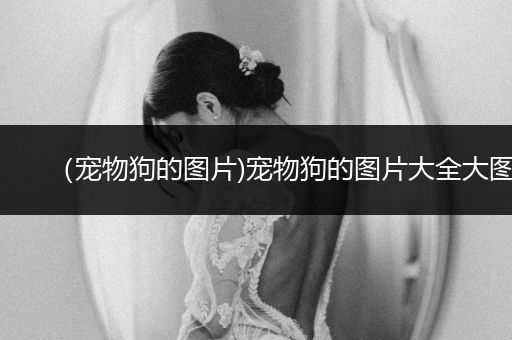 （寵物狗的圖片)寵物狗的圖片大全大圖