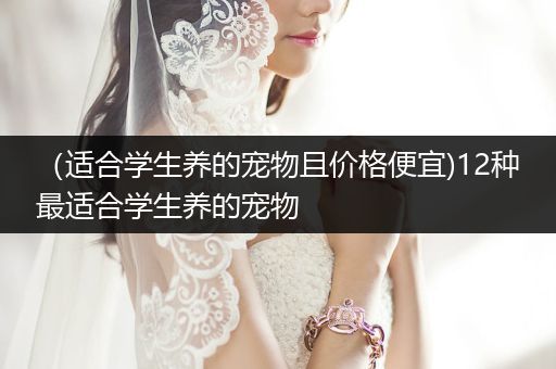 （適合學生養(yǎng)的寵物且價格便宜)12種最適合學生養(yǎng)的寵物