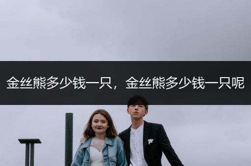 金絲熊多少錢一只，金絲熊多少錢一只呢