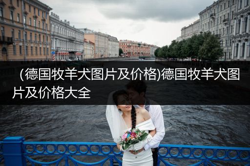 （德國牧羊犬圖片及價(jià)格)德國牧羊犬圖片及價(jià)格大全