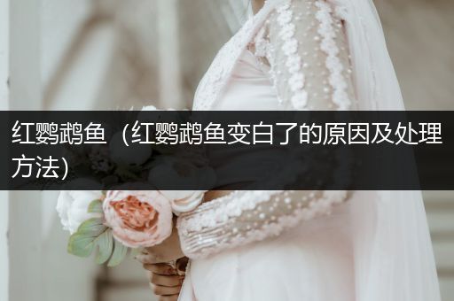 紅鸚鵡魚（紅鸚鵡魚變白了的原因及處理方法）