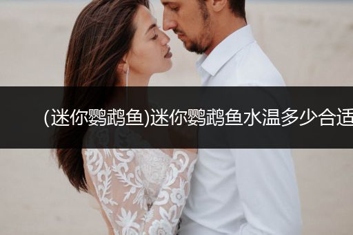 （迷你鸚鵡魚)迷你鸚鵡魚水溫多少合適