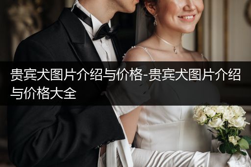 貴賓犬圖片介紹與價(jià)格-貴賓犬圖片介紹與價(jià)格大全