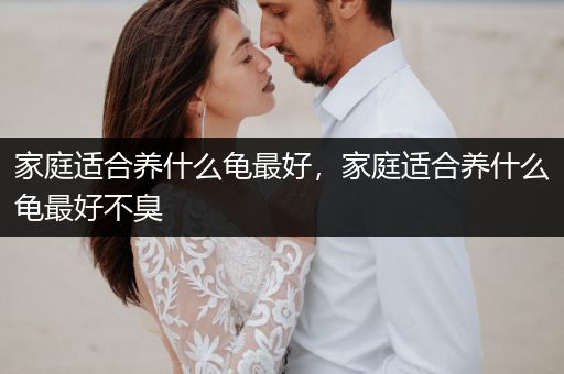 家庭適合養(yǎng)什么龜最好，家庭適合養(yǎng)什么龜最好不臭