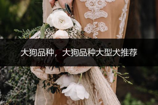 大狗品種，大狗品種大型犬推薦