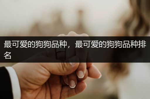 最可愛的狗狗品種，最可愛的狗狗品種排名