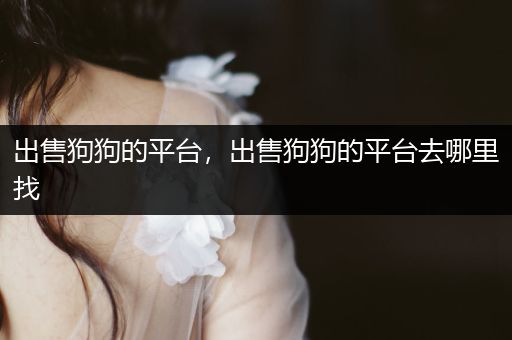 出售狗狗的平臺(tái)，出售狗狗的平臺(tái)去哪里找
