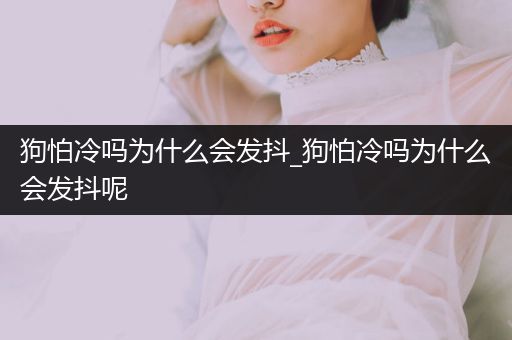 狗怕冷嗎為什么會(huì)發(fā)抖_狗怕冷嗎為什么會(huì)發(fā)抖呢