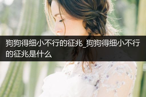 狗狗得細小不行的征兆_狗狗得細小不行的征兆是什么