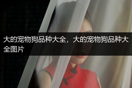 大的寵物狗品種大全，大的寵物狗品種大全圖片