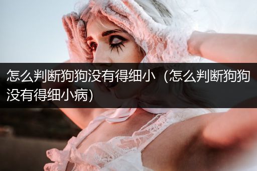 怎么判斷狗狗沒(méi)有得細(xì)小（怎么判斷狗狗沒(méi)有得細(xì)小?。?></p>
<p><br/></p><p>建議做個(gè)血檢，發(fā)燒一般會(huì)白細(xì)胞增加的。</p>
<p><br/></p>
<p>但是細(xì)小是白細(xì)胞降低。</p>
<h3>怎樣測(cè)試狗狗細(xì)??？</h3>
<p>細(xì)小病毒是一種傷害腸胃的強(qiáng)烈病毒，會(huì)讓狗狗不停地吐，腹瀉，最后導(dǎo)致脫水，并且?guī)а钡缴眢w機(jī)能消耗殆盡而死。</p>
<p>首先你要先判斷狗狗是否是細(xì)小病毒感染的癥狀,主要癥狀表現(xiàn)有:1.拉肚子并且糞便帶有魚(yú)的腥臭味,顏色為深褐色或暗紅色。2.嘔吐并且頻繁,嘔吐物為白色粘稠的沫狀。3.狗狗的鼻頭干熱,無(wú)精打采。</p>
<p><br/></p>
<p>如果懷疑狗狗得了細(xì)小最好去正規(guī)寵物醫(yī)院檢查下，不要耽誤狗狗得病情</p>
<h3>狗得細(xì)小怎樣才算徹底病愈？</h3>
<p>發(fā)病后五到七天就算度過(guò)危險(xiǎn)期了，細(xì)小的痊愈主要看吐不吐，只要吐的癥狀沒(méi)有了，基本就沒(méi)問(wèn)題了，但細(xì)小病毒主要破壞的是消化和造血系統(tǒng)，所以后期的調(diào)養(yǎng)非常重要，而且狗狗終身都不可以吃油膩的東西，還要吃的營(yíng)養(yǎng)，以防止貧血</p>

                </div>
                <div   id="3bbb13b"   class="FGeUUstgtZjIWyi tags"> <i class="VxtGhurc icon-tags"></i>&nbsp;<a href="/tag/11405.html">怎么判斷狗狗沒(méi)有得細(xì)小</a></div>
                <div   id="3bbbb3b"   class="IZGSuIsDJzlTPH postnavi">
                    <div   id="bbbbbbb"   class="wxJdUJx prev"><a href=
