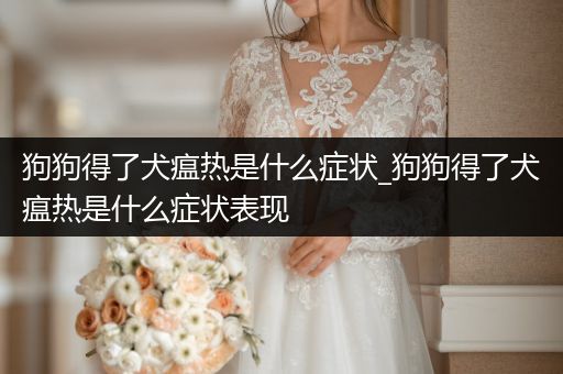 狗狗得了犬瘟熱是什么癥狀_狗狗得了犬瘟熱是什么癥狀表現(xiàn)