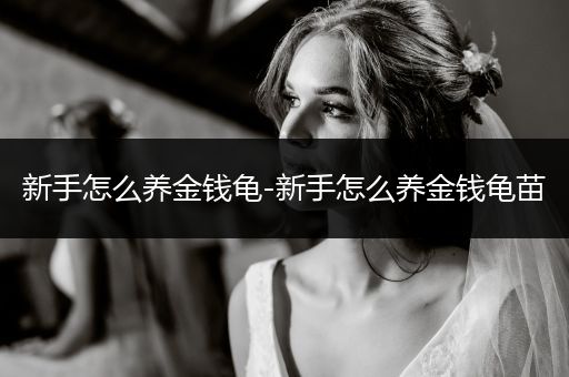 新手怎么養(yǎng)金錢(qián)龜-新手怎么養(yǎng)金錢(qián)龜苗