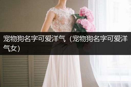 寵物狗名字可愛洋氣（寵物狗名字可愛洋氣女）