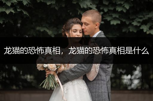龍貓的恐怖真相，龍貓的恐怖真相是什么