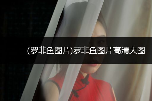 （羅非魚圖片)羅非魚圖片高清大圖