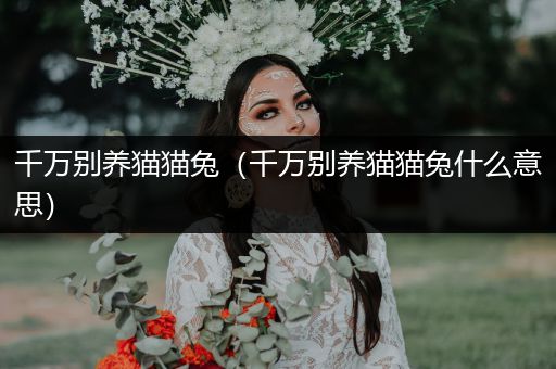 千萬(wàn)別養(yǎng)貓貓兔（千萬(wàn)別養(yǎng)貓貓兔什么意思）