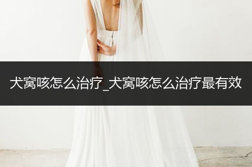 犬窩咳怎么治療_犬窩咳怎么治療最有效