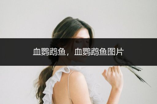 血鸚鵡魚，血鸚鵡魚圖片