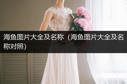 海魚圖片大全及名稱（海魚圖片大全及名稱對照）