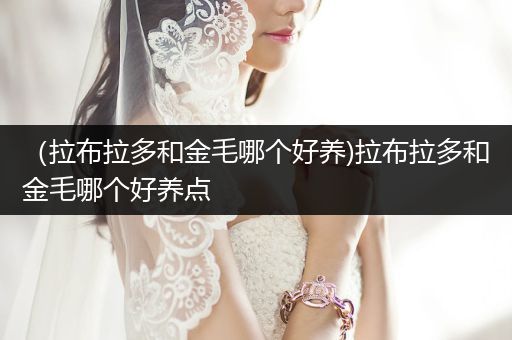 （拉布拉多和金毛哪個好養(yǎng))拉布拉多和金毛哪個好養(yǎng)點