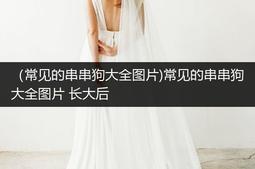 （常見的串串狗大全圖片)常見的串串狗大全圖片 長大后