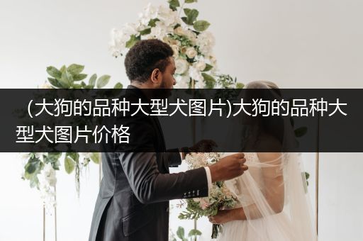 （大狗的品種大型犬圖片)大狗的品種大型犬圖片價(jià)格