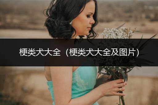 梗類犬大全（梗類犬大全及圖片）