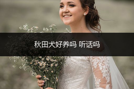 秋田犬好養(yǎng)嗎 聽話嗎