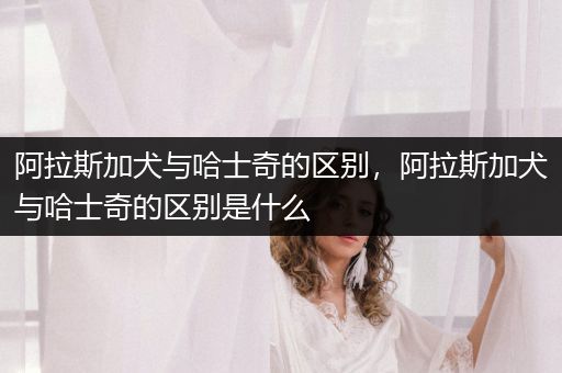 阿拉斯加犬與哈士奇的區(qū)別，阿拉斯加犬與哈士奇的區(qū)別是什么