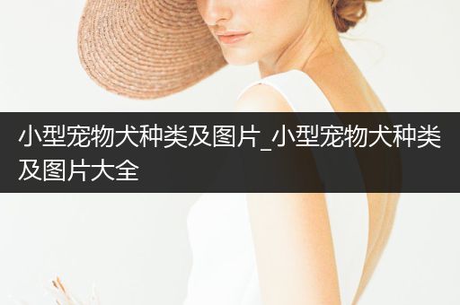 小型寵物犬種類(lèi)及圖片_小型寵物犬種類(lèi)及圖片大全