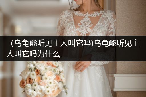 （烏龜能聽(tīng)見(jiàn)主人叫它嗎)烏龜能聽(tīng)見(jiàn)主人叫它嗎為什么