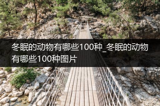 冬眠的動物有哪些100種_冬眠的動物有哪些100種圖片