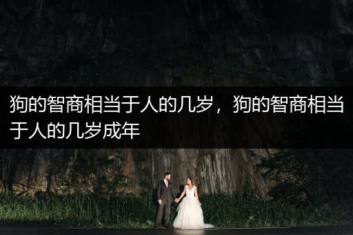 狗的智商相當于人的幾歲，狗的智商相當于人的幾歲成年