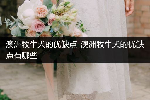 澳洲牧牛犬的優(yōu)缺點(diǎn)_澳洲牧牛犬的優(yōu)缺點(diǎn)有哪些