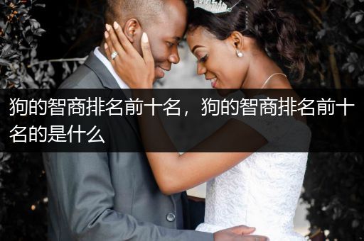 狗的智商排名前十名，狗的智商排名前十名的是什么