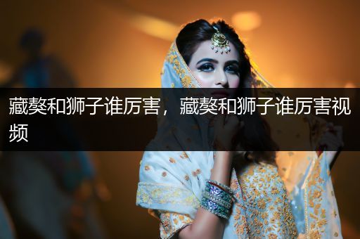 藏獒和獅子誰(shuí)厲害，藏獒和獅子誰(shuí)厲害視頻