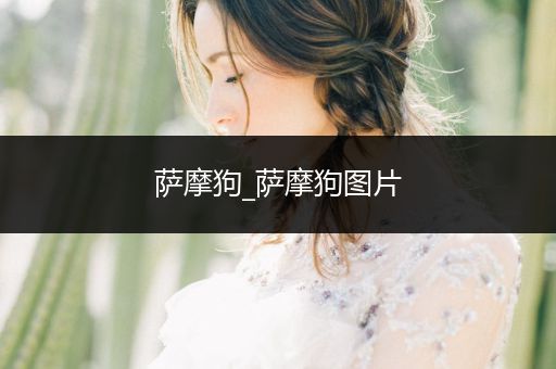 薩摩狗_薩摩狗圖片