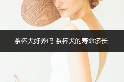 茶杯犬好養(yǎng)嗎 茶杯犬的壽命多長 