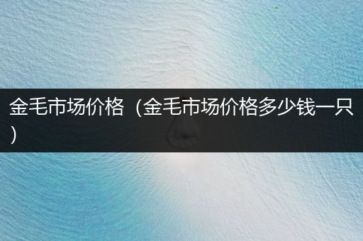 金毛市場(chǎng)價(jià)格（金毛市場(chǎng)價(jià)格多少錢(qián)一只）