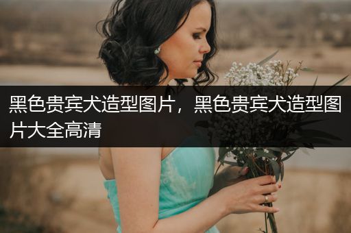 黑色貴賓犬造型圖片，黑色貴賓犬造型圖片大全高清