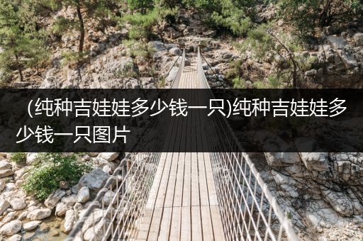 （純種吉娃娃多少錢一只)純種吉娃娃多少錢一只圖片