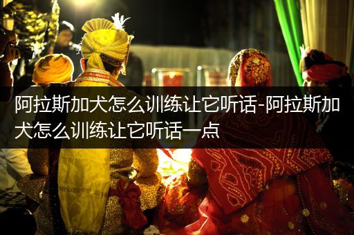 阿拉斯加犬怎么訓(xùn)練讓它聽話-阿拉斯加犬怎么訓(xùn)練讓它聽話一點(diǎn)