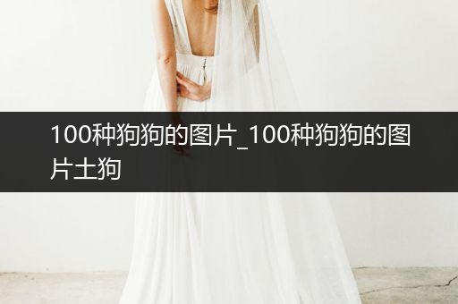 100種狗狗的圖片_100種狗狗的圖片土狗