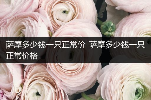 薩摩多少錢一只正常價-薩摩多少錢一只正常價格